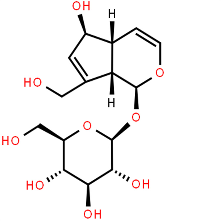 桃叶珊瑚苷 hplc98% 三大图谱 科研直供 中药对照品标准品