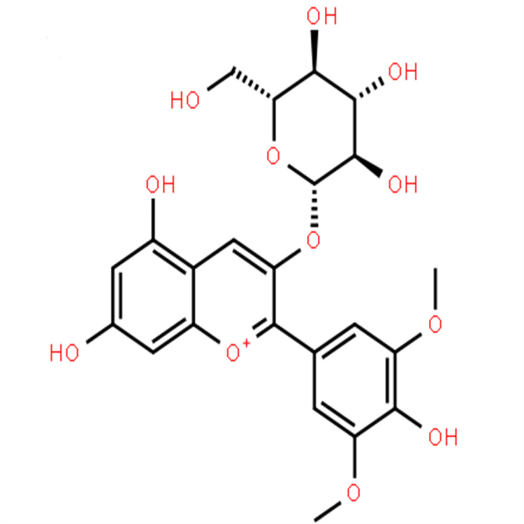 锦葵素-3-O-葡萄糖苷 18470-06-9  对照品标准品