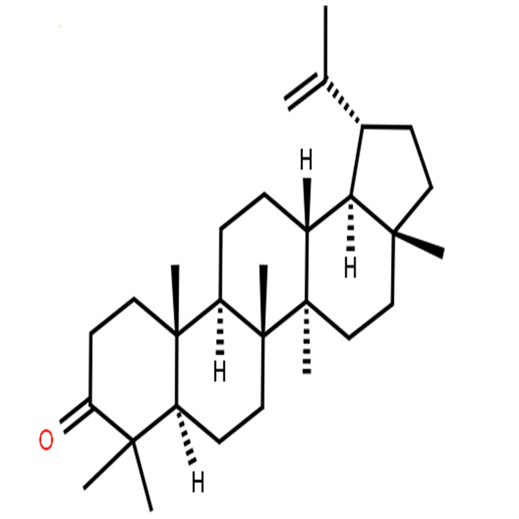 羽扇烯酮 1617-70-5 纯度98% 中药对照品标准品支持定制