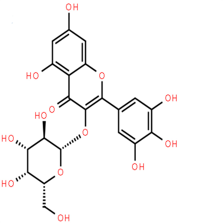 杨梅素-3-O-半乳糖苷 纯度98% 中药对照品标准品 支持定制