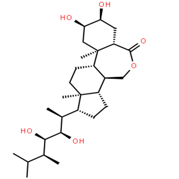 芸苔素内酯;油菜素内酯 72962-43-7 中药对照品标准品