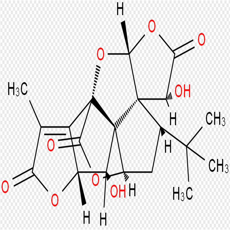 银杏内酯K 153355-70-5 hplc98%  对照品 自制标品