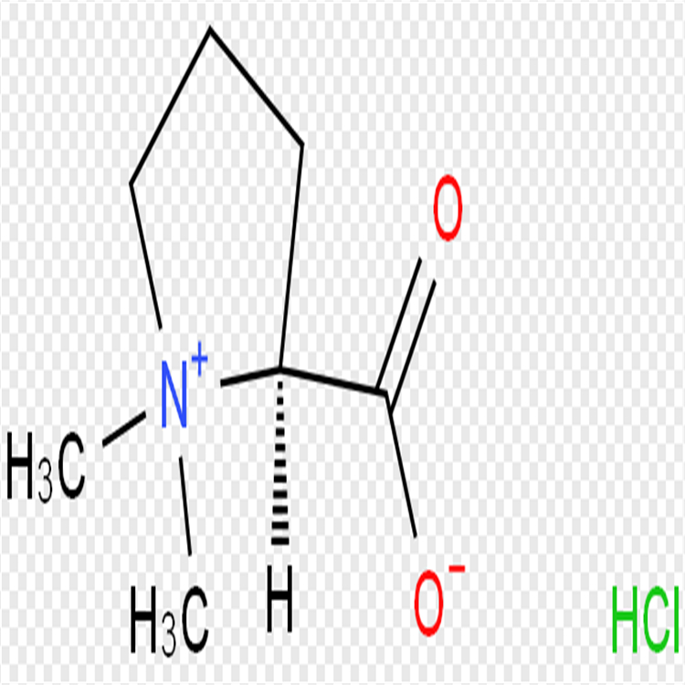 盐酸水苏碱 4136-37-2  对照品标准品 98% 图谱全