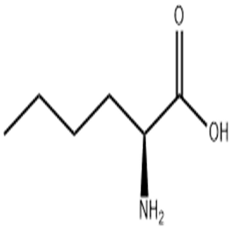 DL-正亮氨酸 616-06-8 DL-Norleucine 纯度98% 恒诚致远