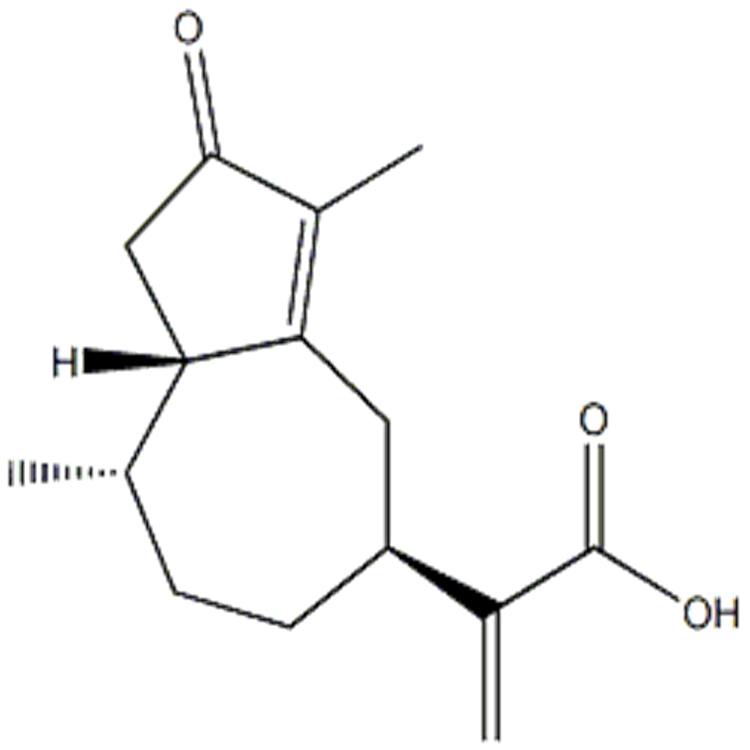 一枝蒿酮酸 CAS:115473-63-7 Rupestonic acid 中药对照品 标准品