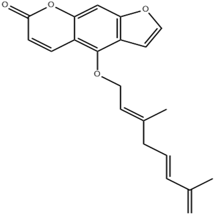 脱水羌活酚,去氢羌活内酯 88206-51-3 分析标准品对照品