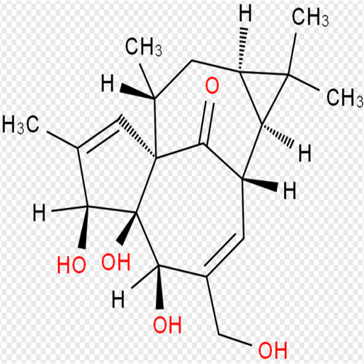 巨大戟醇  30220-46-3  科研专用 98% 自制对照品