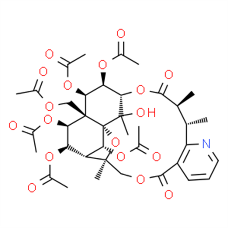 卫矛碱 33458-82-1 Euonymine 中药标准品 HPLC≥98%