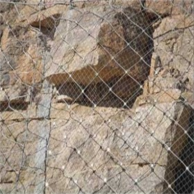 聚鸿晟 帘式防护网 专业生产 支持定制