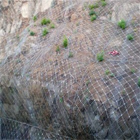 聚鸿晟 主动防护网 专业生产 支持定制