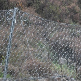 聚鸿晟 被动防护网 专业生产 支持定制