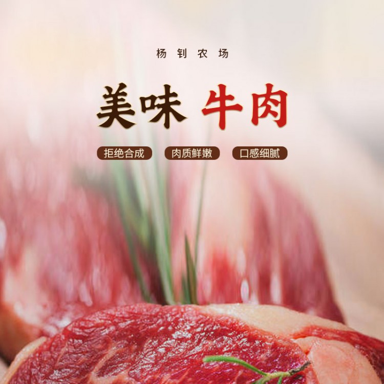 杨钊农场-牛肉_01