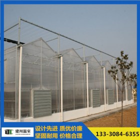 供应PC阳光板 温室大棚阳光板厂家定制生产