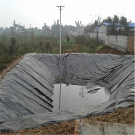 软体沼气池厂家 沼气池塑料口袋 养鸡场有机肥设备 农村小型沼气池