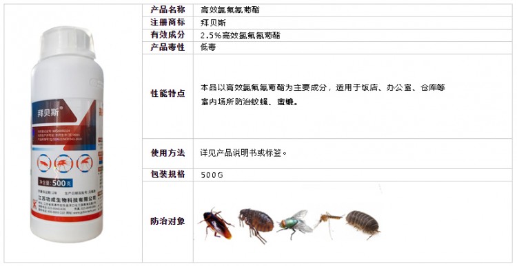 拜贝斯11