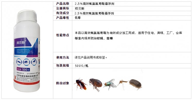 拜贝斯11