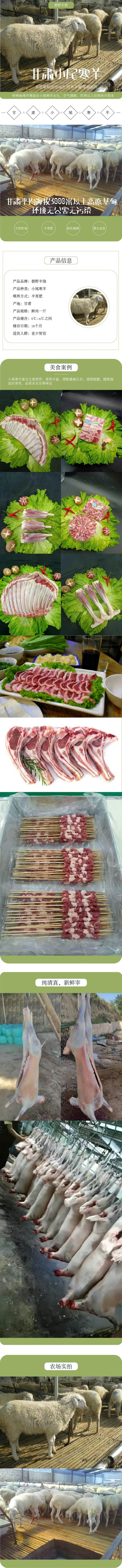 小尾寒羊