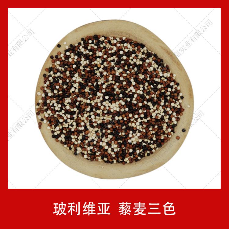 供应藜麦三色玻利维亚1kg食品级批发黑白红混合烘焙预拌粉