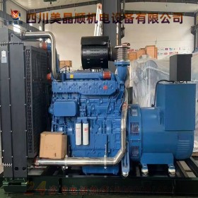 广西玉柴柴油发电机300KW报价厂家定制 成都发货速度快