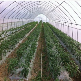 四川蔬菜大棚设计安装 日光温室建造 育苗温室建设