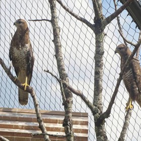 动物园专用不锈钢绳网 防攀爬 养殖场笼舍围网 抗腐耐锈