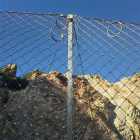 边坡防护网 柔性护坡固土防护网钢丝绳护坡网