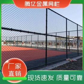 腾亿 运动场围栏网定制销售 球场围网 学校围栏网