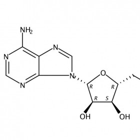 烟酰胺腺嘌呤二核苷酸维克奇生物实验室自制优质中药对照品