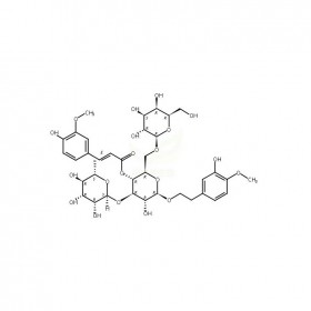焦地黄苯乙醇苷B1维克奇生物实验室自制优质中药对照品