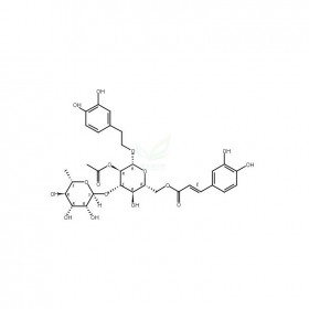 管花苷B维克奇自制中药标准品对照品,仅用于科研使用