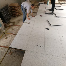 威圣达防静电地板 陶瓷地板价格 防静电活动地板(铝制)