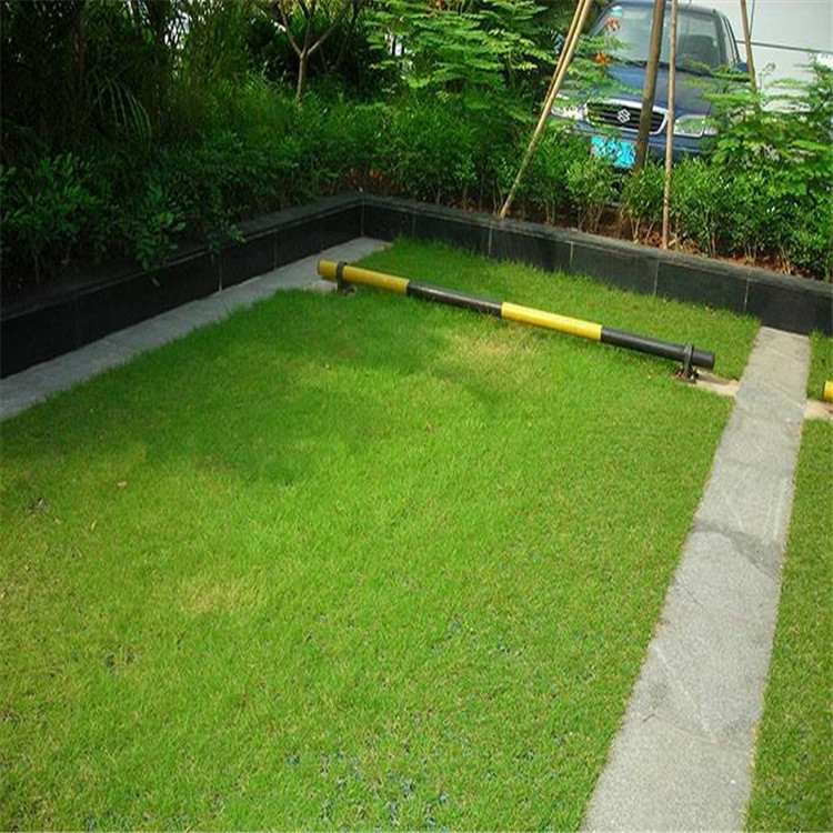 植草格 40花口植草格 边坡植草格 排水优良 耐寒 耐热 使用年限长久