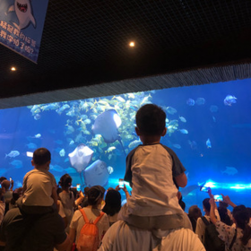 成都戏浪别墅大型鱼缸定做厂 亚克力水族箱定做 酒店亚克力大鱼缸设计定做