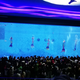 戏浪海洋馆施工 水族馆设计 亚克力大鱼缸造景设计制作