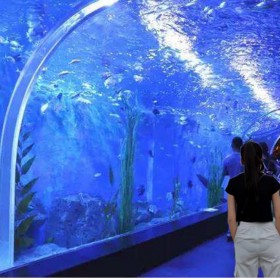 海洋馆设计 水族工程免设计费 亚克力大型12米鱼缸定制 戏浪海景