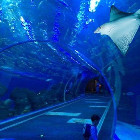 成都大鱼缸定做厂家 别墅观赏养殖大水族箱 酒店商场透明海淡水鱼缸定做 异形圆柱大鱼缸设计与安装