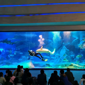 戏浪厂家定做大型亚克力鱼缸 亚克力水族箱 鱼缸造景 鱼缸设计