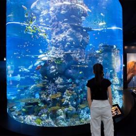 戏浪大型水族馆亚克力鱼缸海洋馆设计安装施工承接海洋馆规划制作