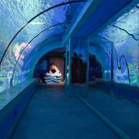 四川戏浪供应海洋馆设计工程 水族馆建造 大型透明海底隧道安装 无边际泳池设计