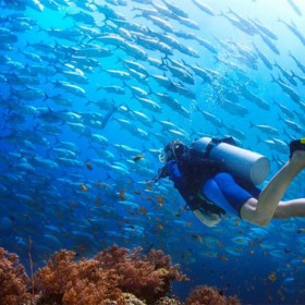 大鱼缸定做 别墅大水族箱定制 海洋馆设计 戏浪海景