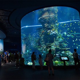 免费海洋馆设计 水族馆改建搬迁 工程鱼缸定制 悬空泳池