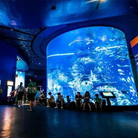 全国海洋馆免费设计 水族馆施工建造 大水体鱼缸工程 亚克力鱼缸