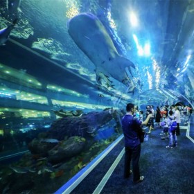 戏浪海洋馆设计 水族馆建造 海洋透明隧道安装拼接 海洋餐厅设计施工 大鱼缸定做