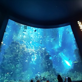 四川戏浪海洋主题餐厅设计与施工 水族馆修建工程商