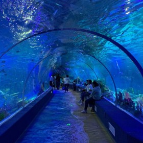 四川大型水族箱鱼缸设计安装 海洋馆施工设计  海洋馆运营海洋馆规划戏浪