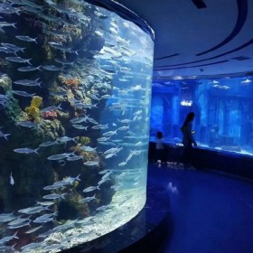 戏浪大型观赏鱼缸定做 免费海洋馆设计 水族馆工程承建 透明悬空泳池设计安装