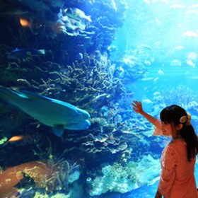 别墅鱼缸定制 酒店观赏风水水族箱 有机玻璃海景鱼缸