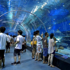 海洋馆设计 海洋隧道施工 水族馆改建 网红悬空透明泳池设计安装