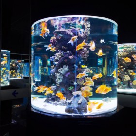 海洋馆设计 施工水族馆 大型鱼缸定做 有机玻璃泳池