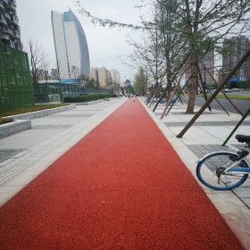 武威市 透水地坪 彩色强固透水砼 彩色透水道路 案例样式
